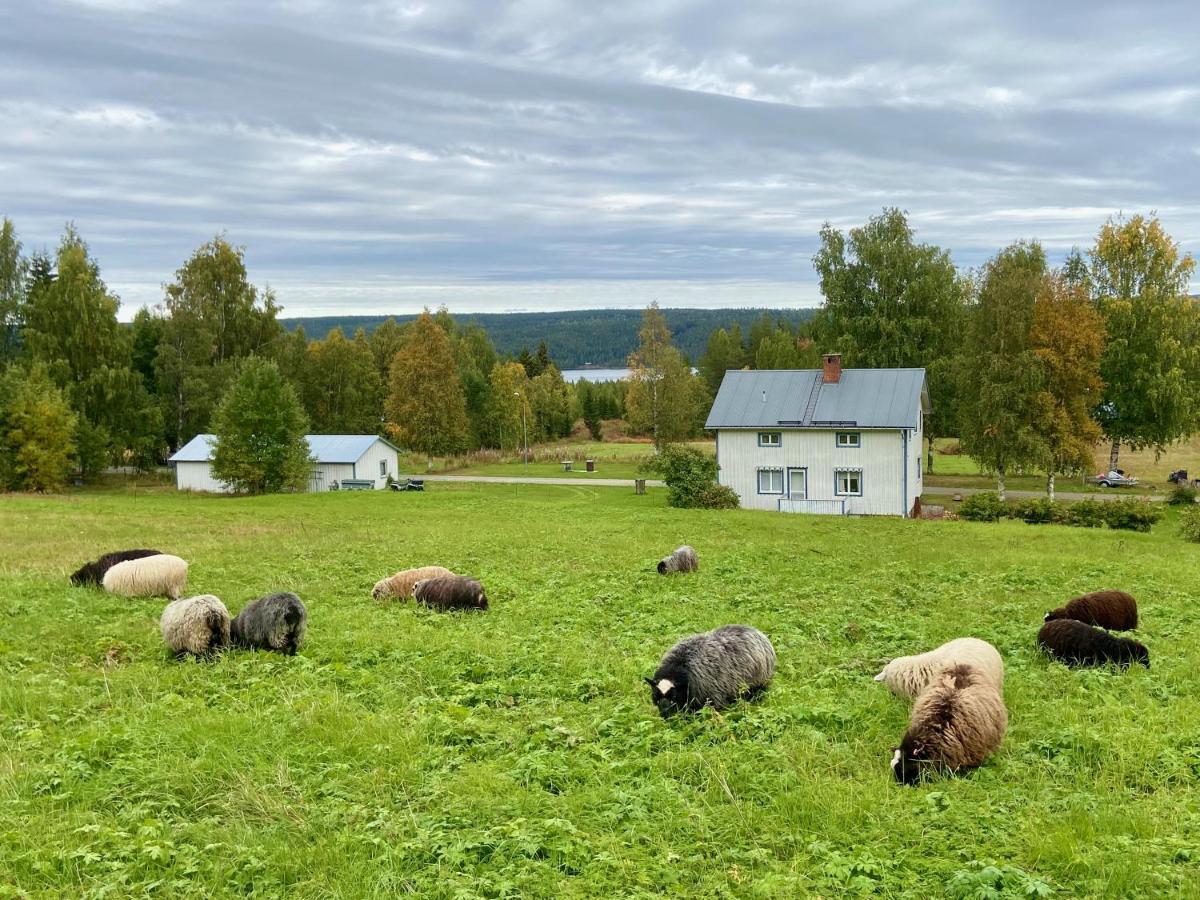 Vildmarksgard Lillviken Strömsund المظهر الخارجي الصورة