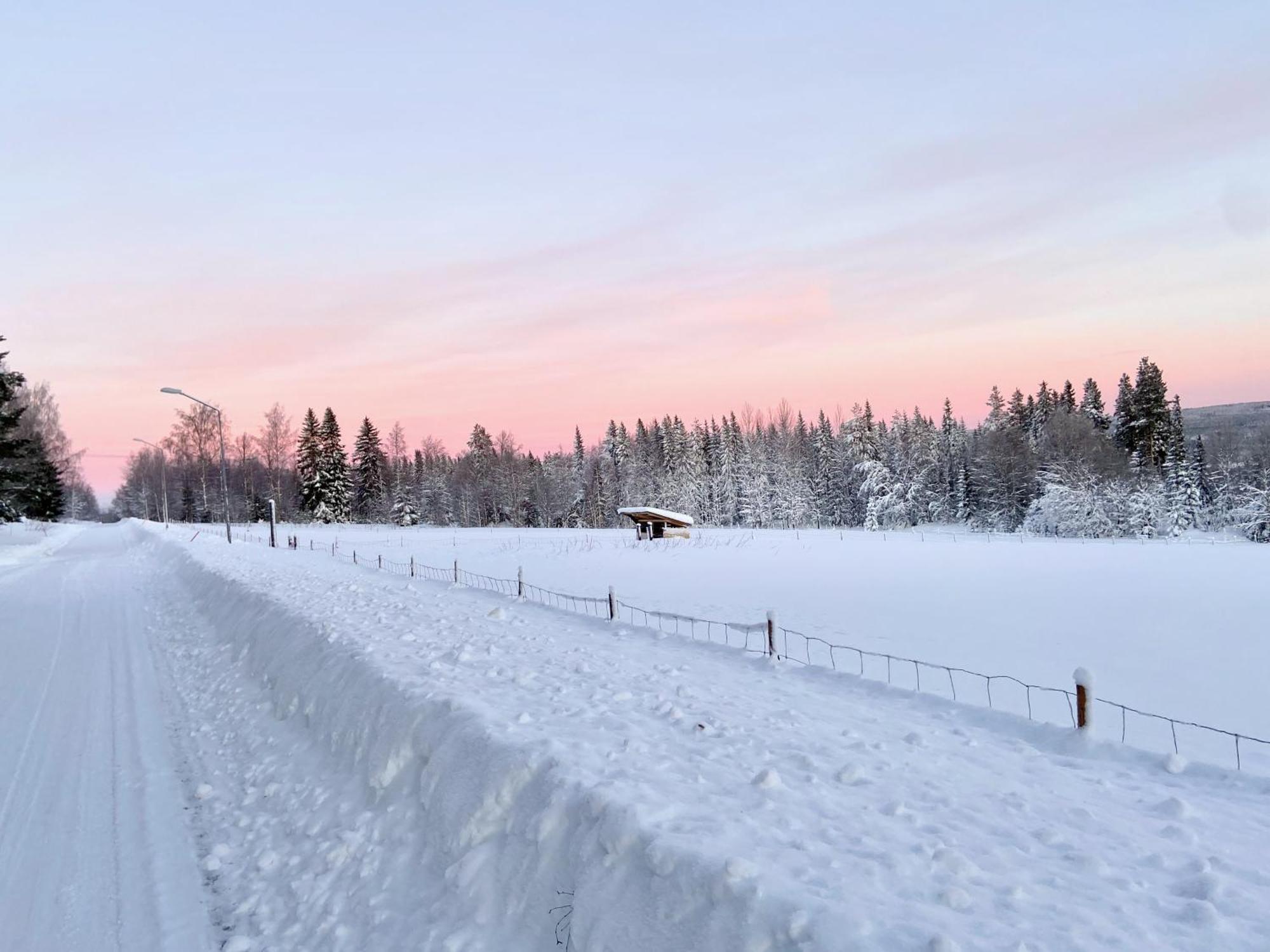 Vildmarksgard Lillviken Strömsund المظهر الخارجي الصورة