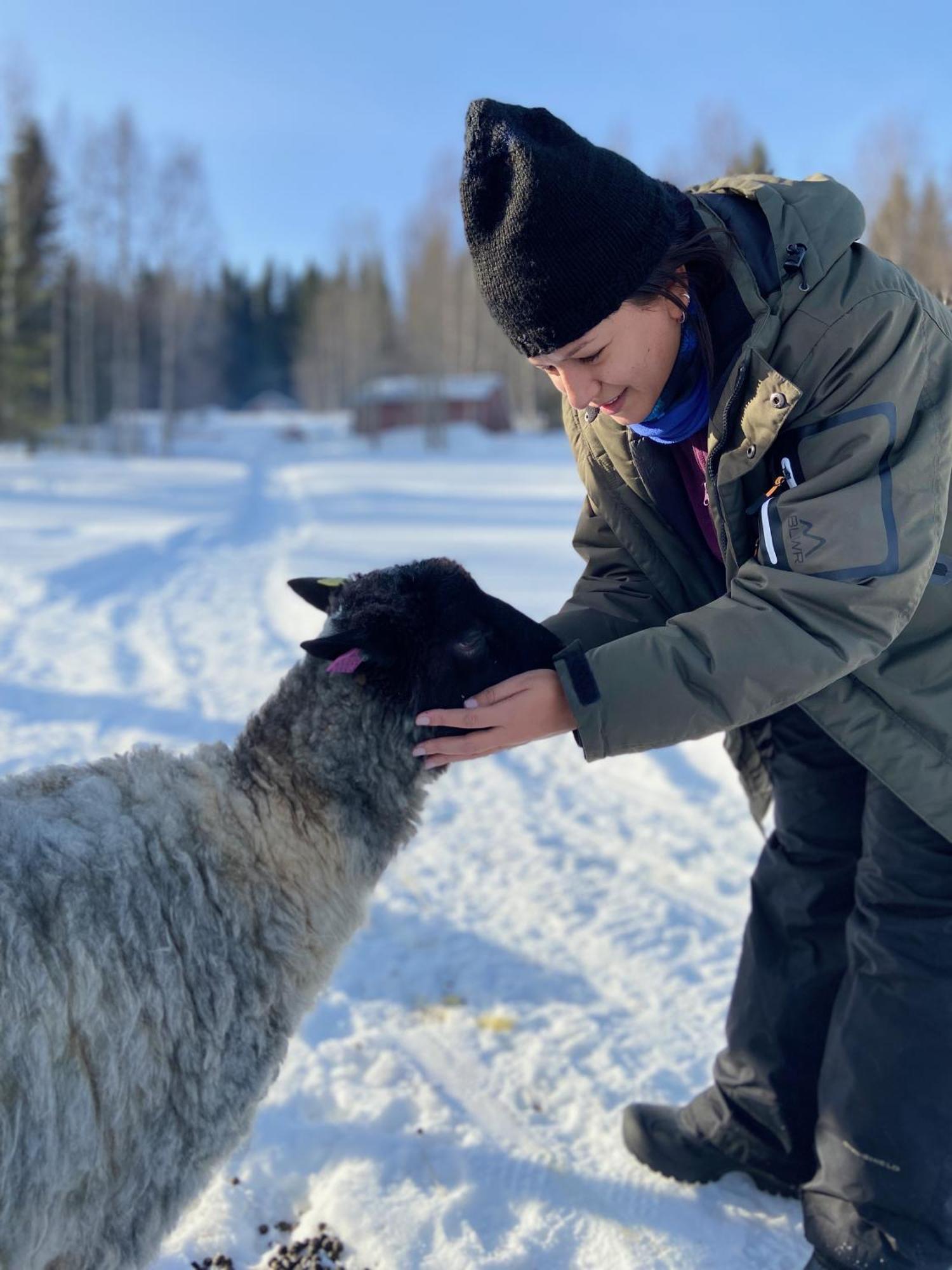 Vildmarksgard Lillviken Strömsund المظهر الخارجي الصورة